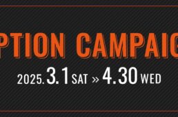 春のオプションキャンペーン