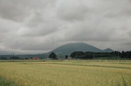 グラベルクラシックやくらい