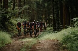 グラベルクラシックやくらい