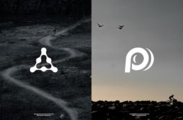 ポリマー ワークショップ×パナレーサー2025