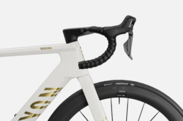 ゴールドダスト