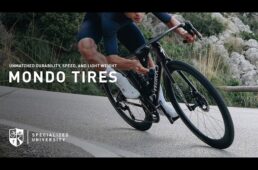 スペシャライズド2025タイヤ