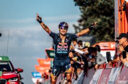 スペシャライズド2025タイヤ