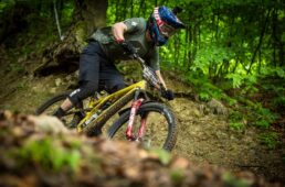 スペシャライズド2025タイヤ