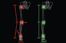 スペシャライズド・S-Works Ares
