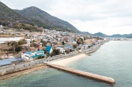 海と山の両方を間近に感じながら走れる道