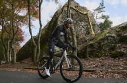 エンゼルライン