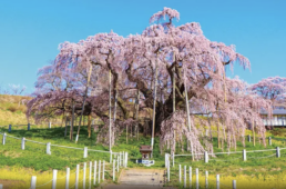 ジャパンエコトラック 福島県