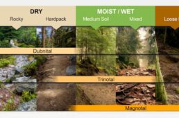 コンチネンタル・マグノタル