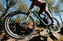 コンチネンタル・トリノタル