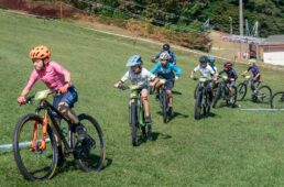 DCダートクリテ