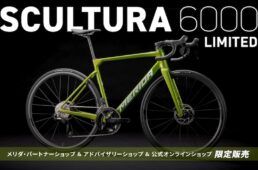 メリダ・スクルトゥーラ 6000