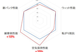 ミシュラン　PRO 5