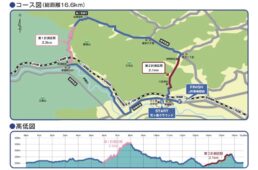 ザ・ロードレーストウキョウチャレンジ2025のコース