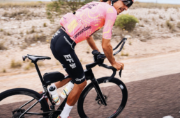 キャノンデール・新型シナプス