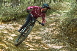 X-GRID使用レビュー