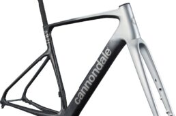 キャノンデール・新型シナプス