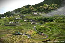 新城幸也　ツール・ド・熊野2025 第3ステージ