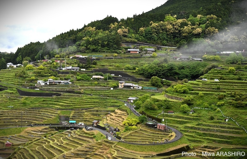 新城幸也　ツール・ド・熊野2025 第3ステージ