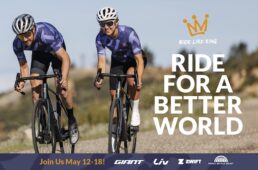 ジャイアント RIDE LIKE KING 17