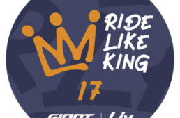 ジャイアント RIDE LIKE KING 17