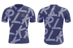 ジャイアント RIDE LIKE KING 17