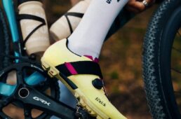 フィジーク・FEROX CARBON