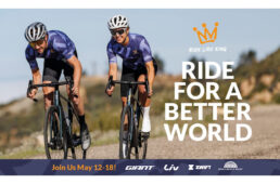 ジャイアント RIDE LIKE KING 17