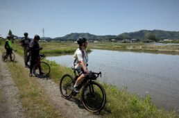 春を感じさせる田