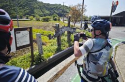 旧街道の詳しい説明の看板