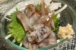 ホタルイカの刺身