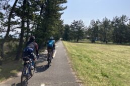 富山湾岸ルート東側