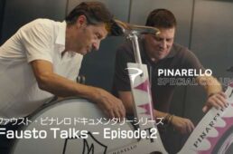 ファウスト・ビナレロ ドキュメンタリー