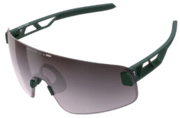 エリシットトーリック