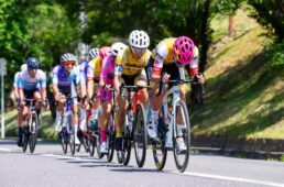 フェルト　弱虫ペダルサイクリングチーム