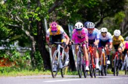 フェルト　弱虫ペダルサイクリングチーム