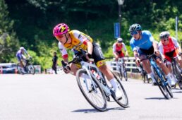 フェルト　弱虫ペダルサイクリングチーム