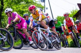 フェルト　弱虫ペダルサイクリングチーム