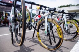 フェルト　弱虫ペダルサイクリングチーム