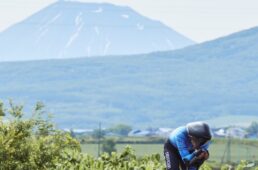 ニセコクラシック2025 レポート