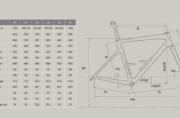 チームマシンSLR01のジオメトリ