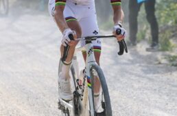 タデイ・ポガチャル