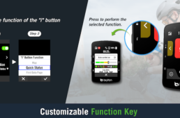 ブライトン・Rider650