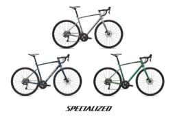 スペシャライズド・アレーコンプ