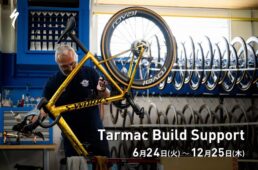 スペシャライズド・S-ワークス ターマック SL8 フレームセット