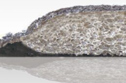 パールイズミ　メガ グローブ