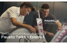 ファウスト・ビナレロ ドキュメンタリー