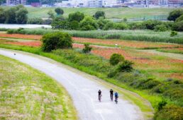 江戸川グラベル