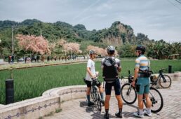 台湾の田園風景