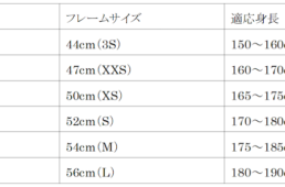 メリダ　チーム バーレーン ヴィクトリアス2025レプリカカラー